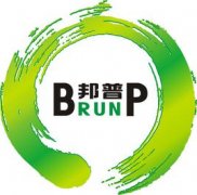 邦普：分而治之