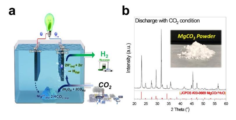 <b>UNISTĤCO&#8322; ɿЧز</b>