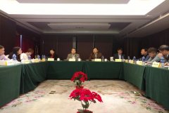 <b>新能源汽车动力蓄电池回收利用工作座谈会在京召开</b>