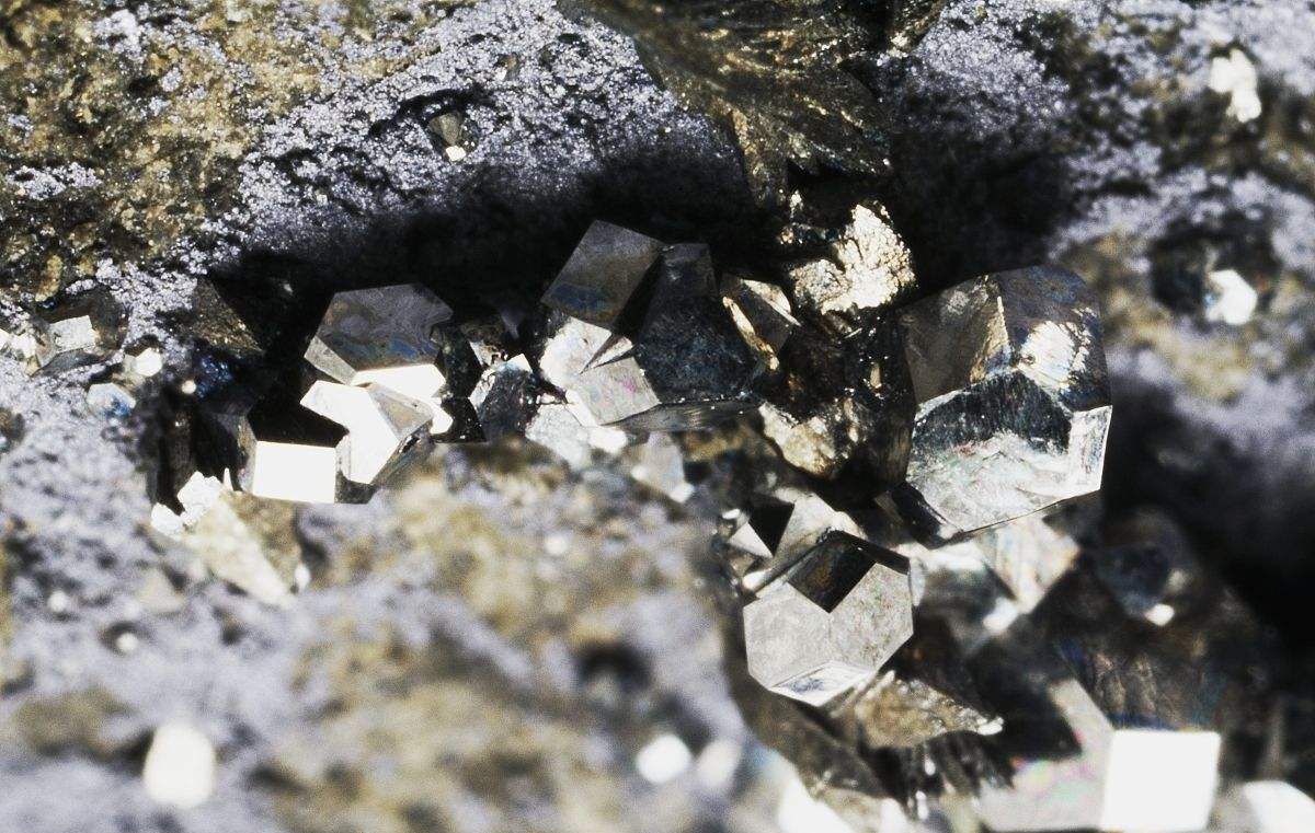 温哥华初级公司收购非洲钴矿 股票猛涨60%