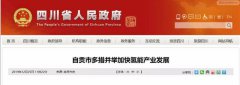 <b>四川自贡：成立市长为首领导小组，统筹推进自贡氢能发展</b>