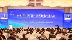 <b>ӵزҵչƤ飨2021棩2020ȫ</b>