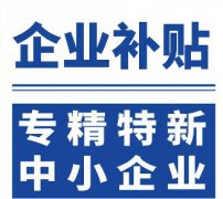 <b>2025年专精特新“小巨人”企业申报指南</b>