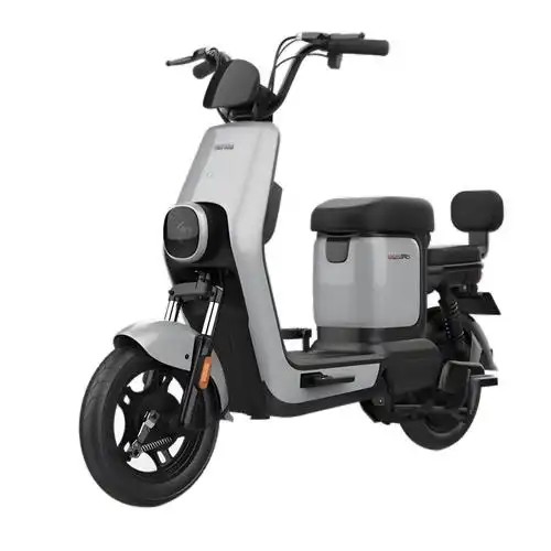 <b>¹ȫֳȫ ݷԼƾ</b>