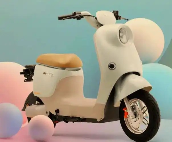 <b>����Դ������ػ��պ������ڵ綯���г��������ŷ�����ȷ��ֹ</b>