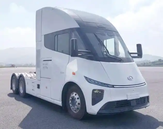 <b>έ��Windrose�����ؿ��ڱ���ʱ��ʽ����</b>